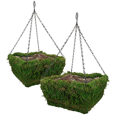 Panacea Natural Moss Square Hanging Baskets, 14"L, Pack of 2