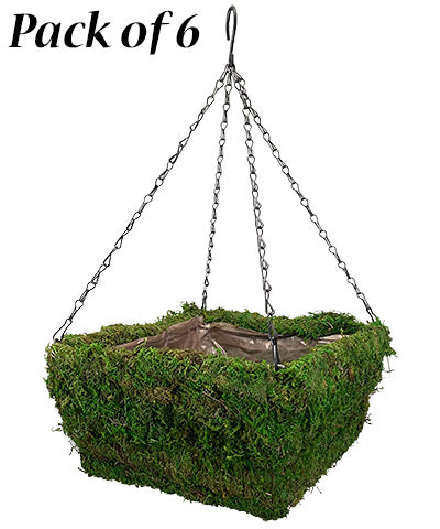 Panacea Natural Moss Square Hanging Baskets, 14"L, Pack of 6