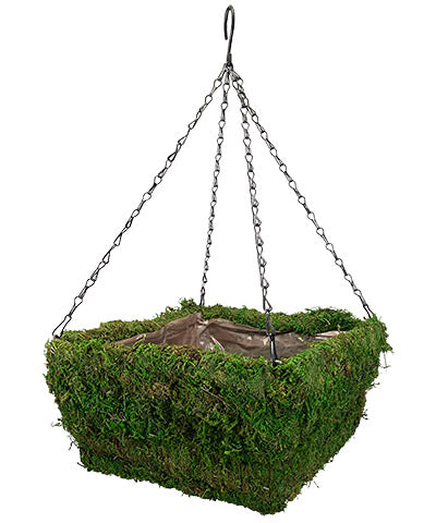 Panacea Natural Moss Square Hanging Basket, Green, 14"L