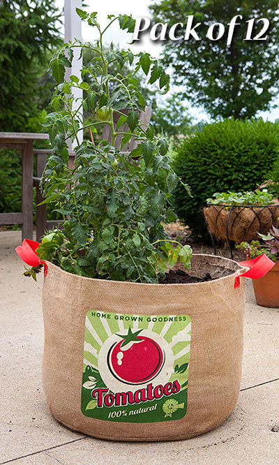 Panacea Tomatoes Grow Bags, 19" dia., Pack of 12