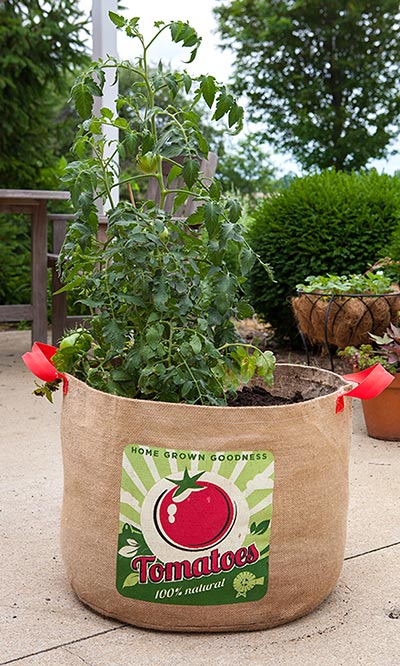 Panacea Tomatoes Grow Bags, 19" dia., Pack of 4