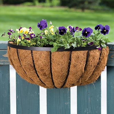 Panacea Cotswold Series Wall Planter, Black, 22"L