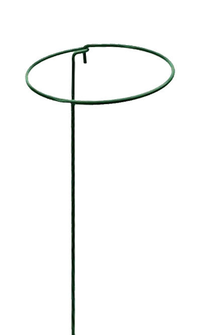 Panacea Circular Plant Supports, 8" x 36", Pack of 24