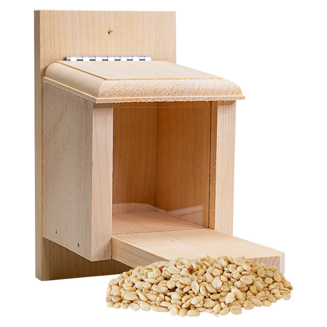 Peanut Box Squirrel Feeder & Peanuts by Prime Retreat