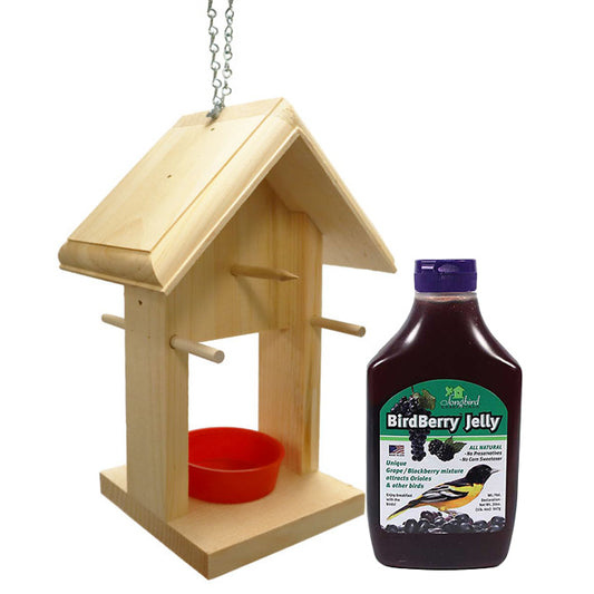 Jelly, Fruit, and Mealworm Feeder with BirdBerry Jelly