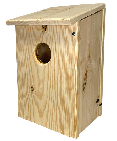 Screech Owl, Saw-Whet, and Kestrel House by Prime Retreat