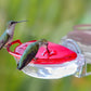 Gem Window Hummingbird Feeder w/Ant Moat by Prime Retreat