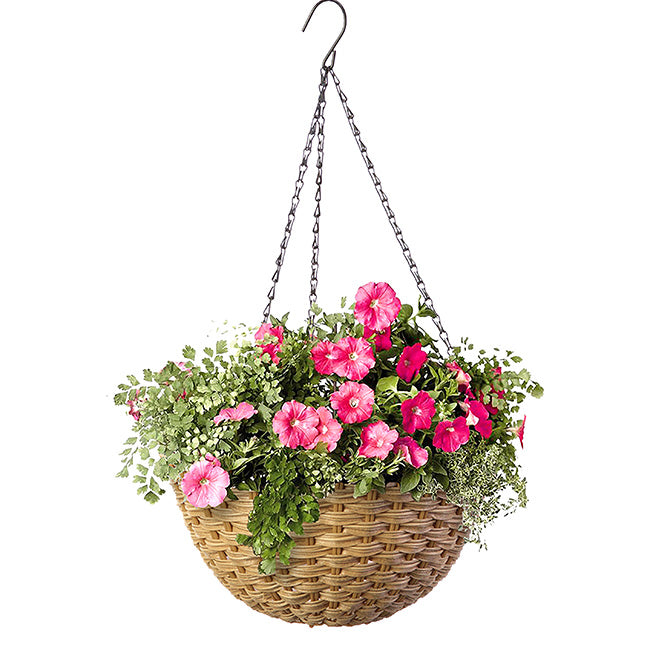 Woven Resin Hanging Baskets with Brackets by Prime Retreat