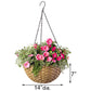 Woven Resin Hanging Baskets with Brackets by Prime Retreat