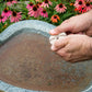 Glass Poppy Bird Bath and Stand with Mosquito Dunks®  Kit
