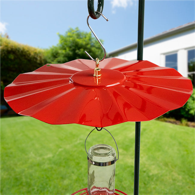 Decorative Glass Hummingbird Feeder with Weather Guard Kit