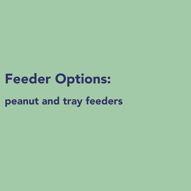 Peanut Tube and Hopper Bird Feeder Set with 10 lbs. Seed