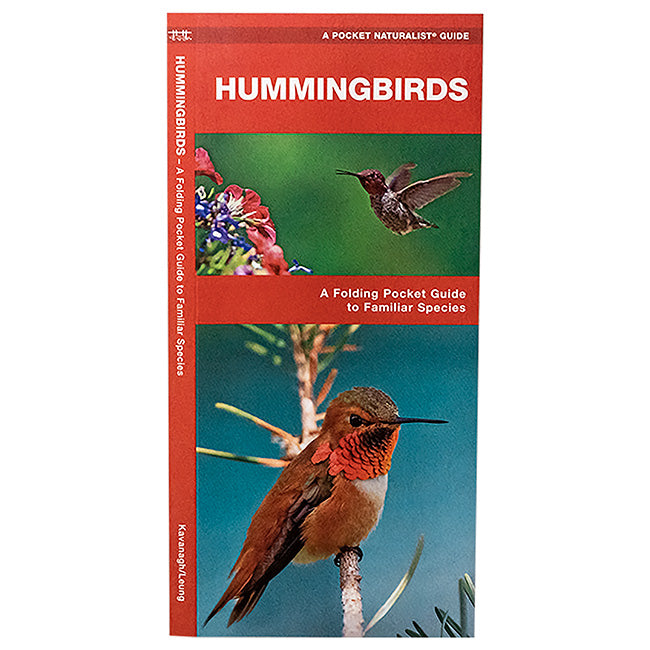 Classic Hummingbird Feeding Package by Prime Retreat