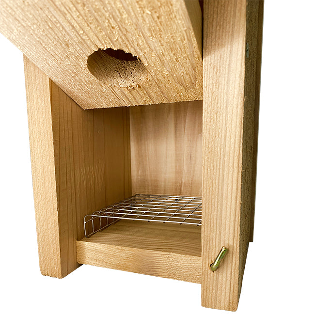 Woodlink Bluebird House Package with Poles