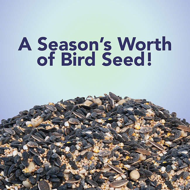 3-Month Seed Subscription, 10 lbs. Divine Blend Seed