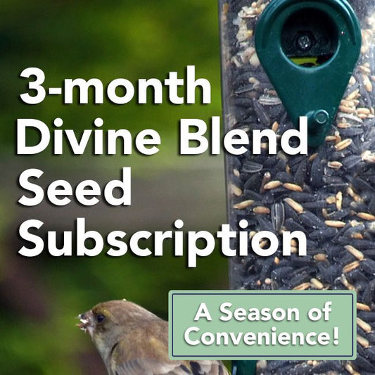 3-Month Seed Subscription, 10 lbs. Divine Blend Seed