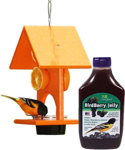Songbird Essentials Recycled Plastic Oriole Feeder and Jelly