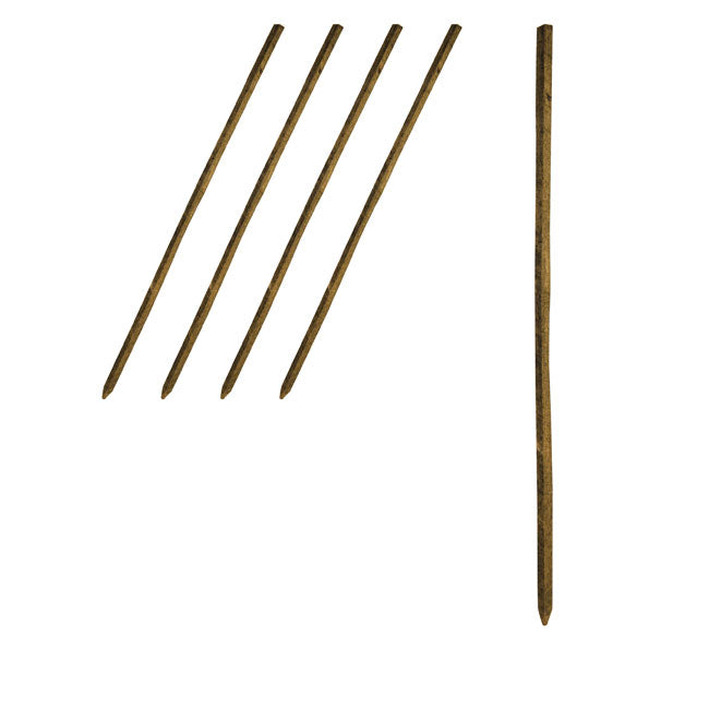 Tree Pro Treated Pine Stakes, 36