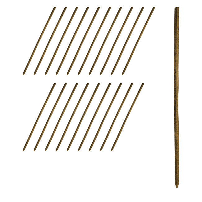 Tree Pro Treated Pine Stakes, 48"H, Pack of 20