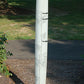 Tree Pro Standard Vented Seedling Protectors, 48"H, 5 Pack