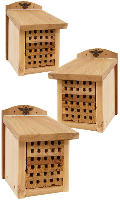 Woodlink Heavy Duty Cedar Mason Bee Houses, Small, 3 Pack