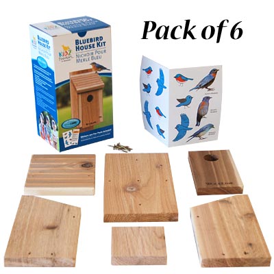 Woodlink Bluebird House DIY Craft Kits, Club Pack of 6