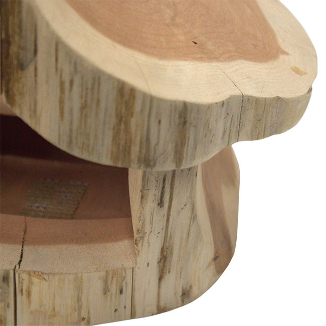 Woodmen Designs Rustic Cedar Well Shaped Bird Feeder