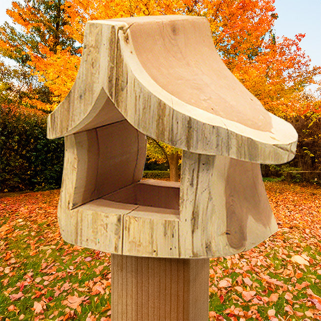 Woodmen Designs Rustic Cedar Well Shaped Bird Feeder