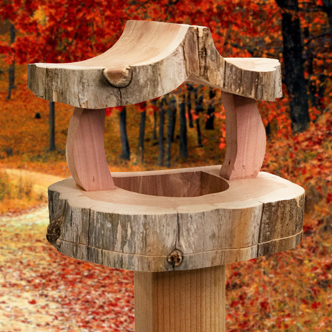 Woodmen Designs Rustic Cedar Fly Through Bird Feeder