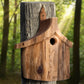 Woodmen Designs Rustic Handmade Bird House with Finish